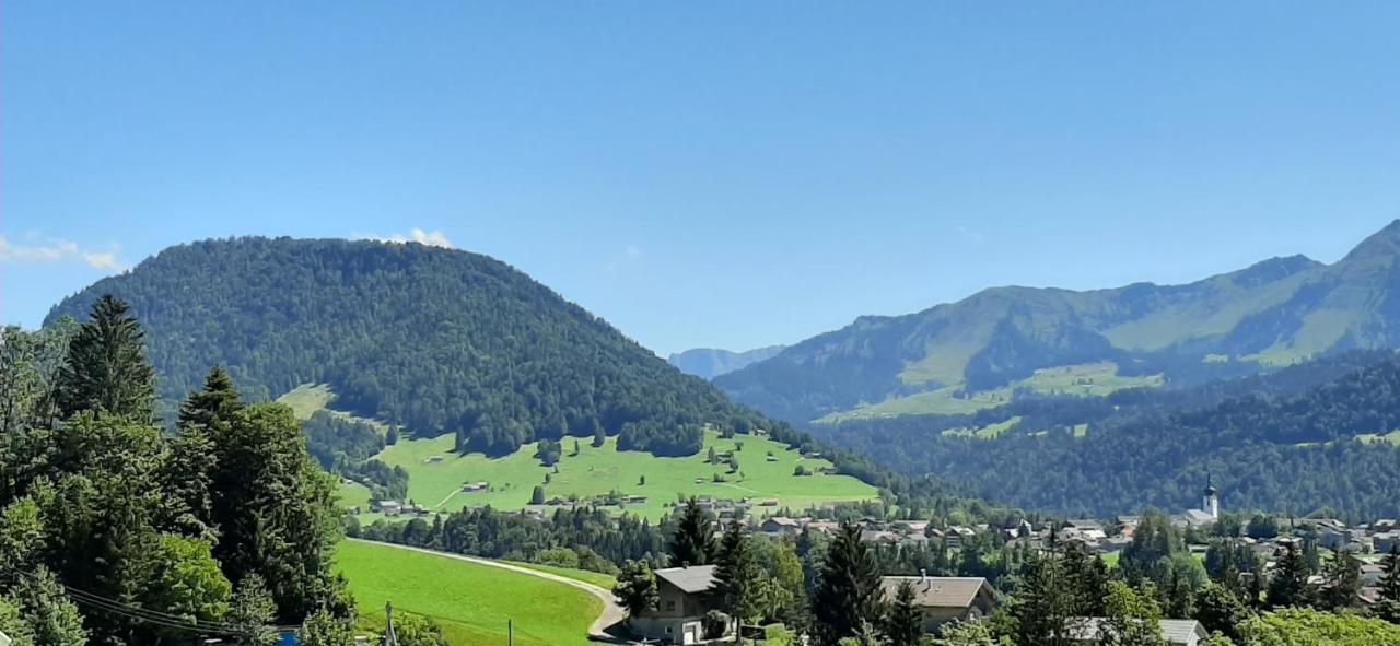 Ferienwohnung Schoenenbuehl Hittisau Exteriér fotografie