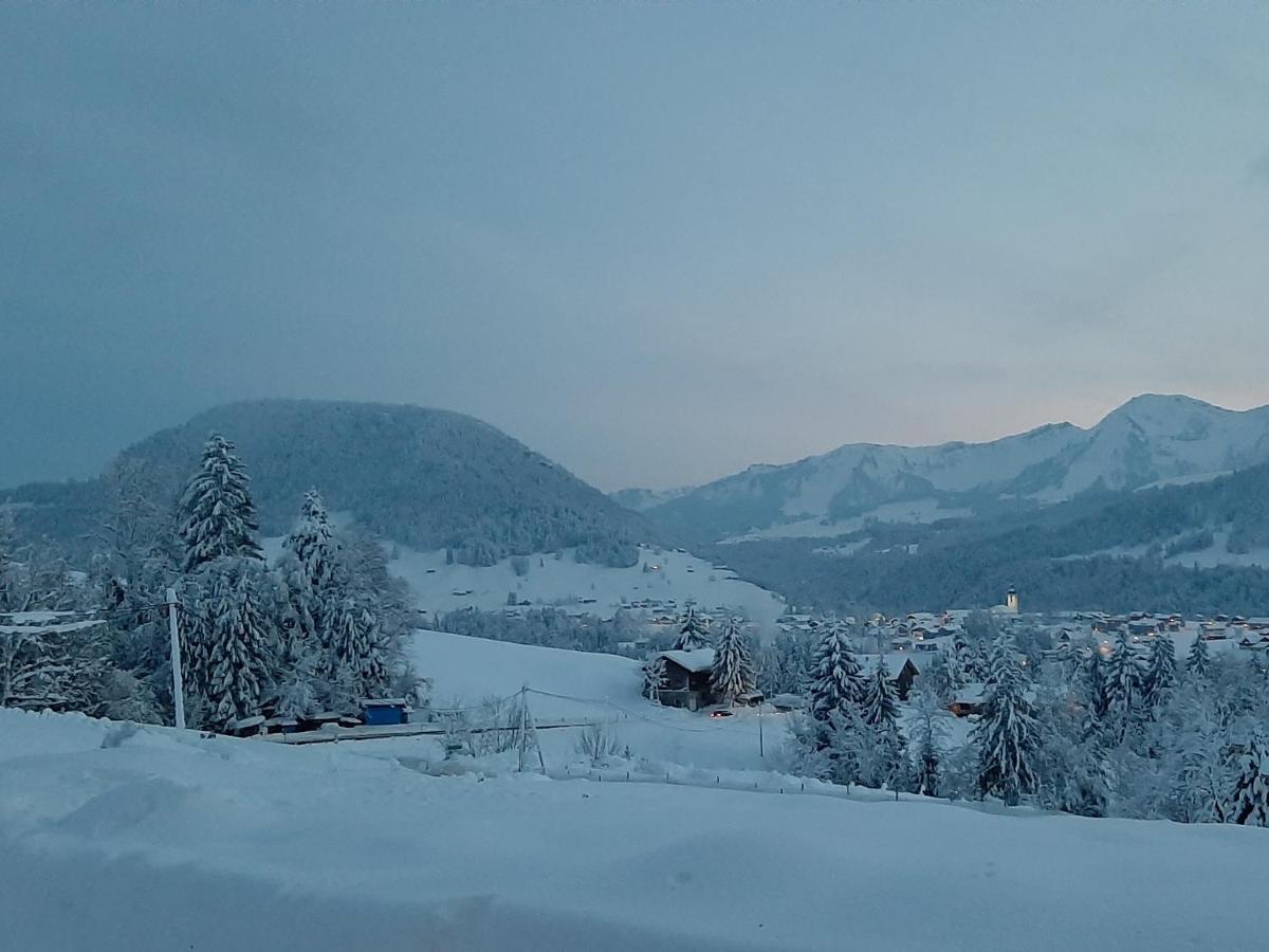 Ferienwohnung Schoenenbuehl Hittisau Exteriér fotografie