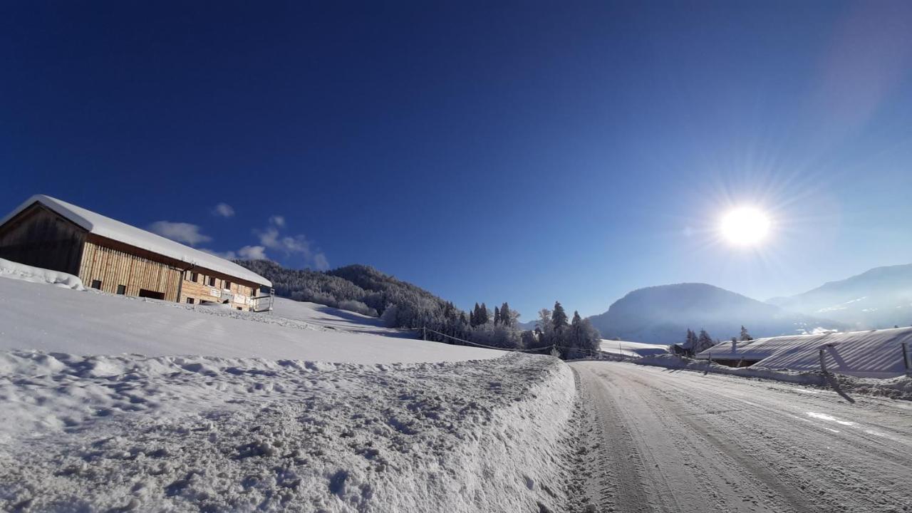 Ferienwohnung Schoenenbuehl Hittisau Exteriér fotografie