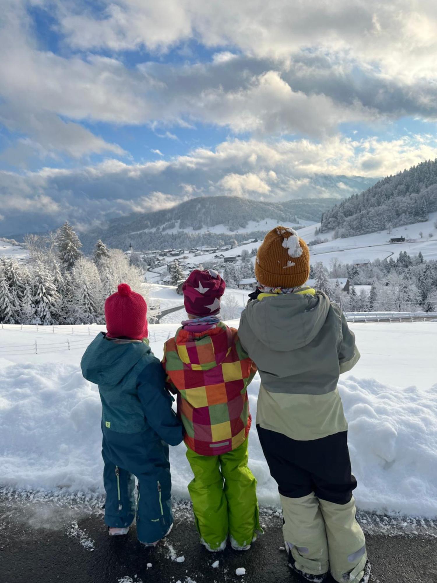 Ferienwohnung Schoenenbuehl Hittisau Exteriér fotografie
